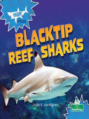 cover image of Blacktip Reef Sharks